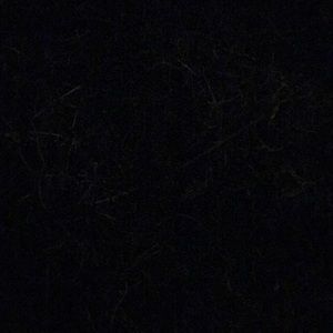 Meet your Posher, Sean